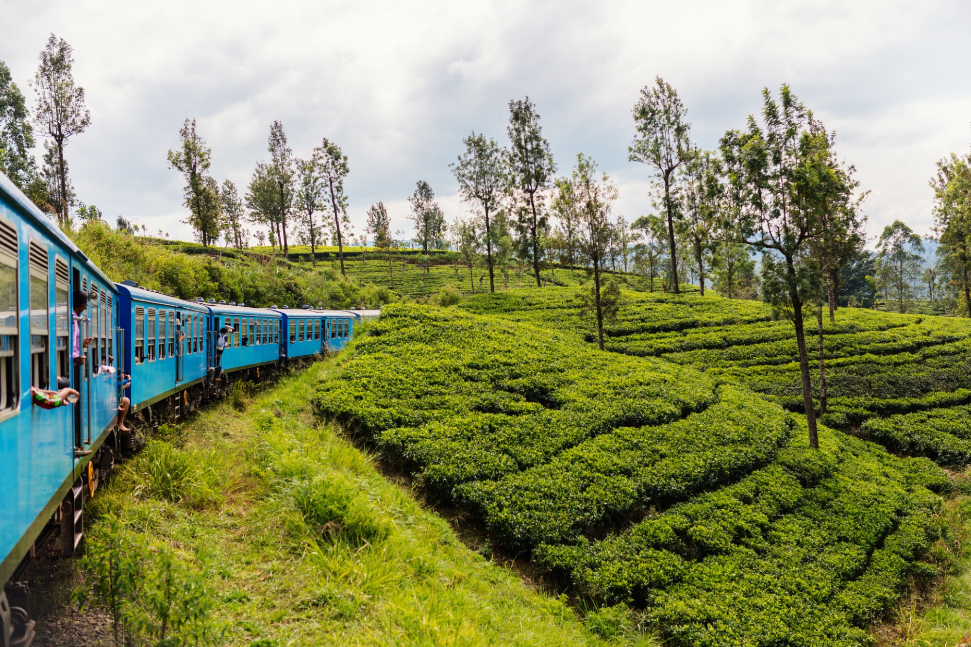 Train winding through tea plantations in the Sri Lankan hill country.